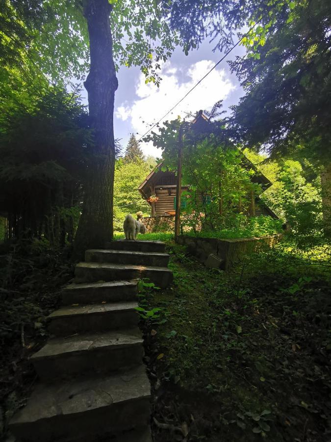 Vila Fani, Kostel - Vacation House Pr' Vili Fani מראה חיצוני תמונה